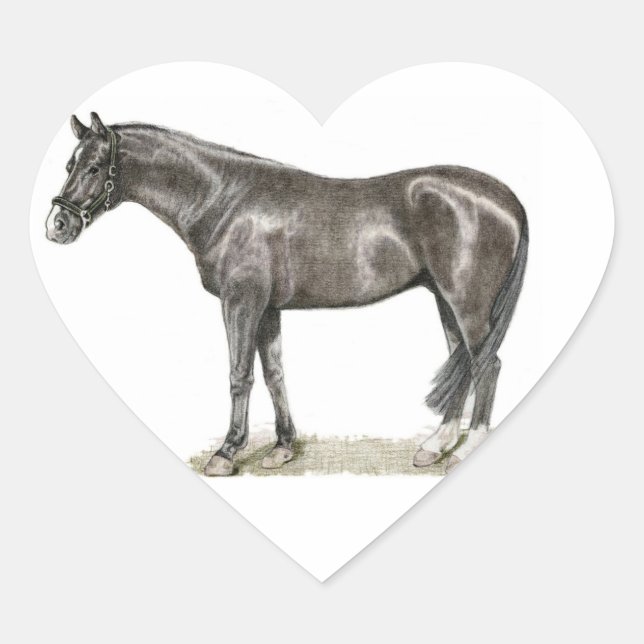 Horse Heart Sticker (Front)