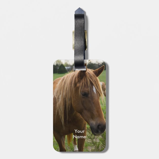 Horse Hello Luggage Tag (Back Vertical)