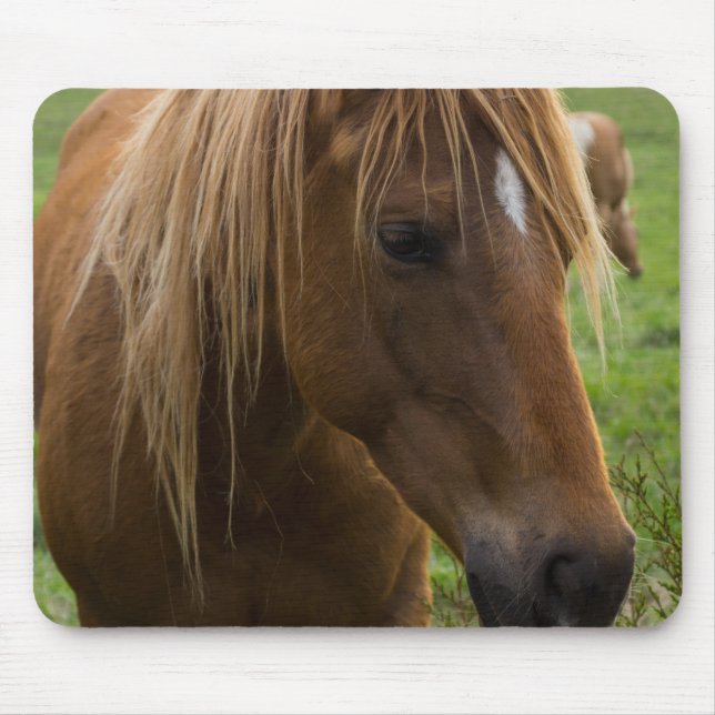 Horse Hello Mouse Pad (Front)
