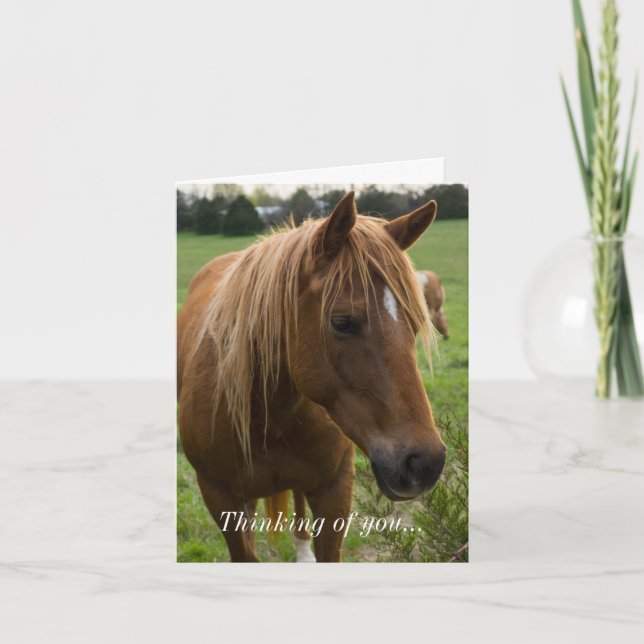 Horse Hello Thinking Of You Card (Front)