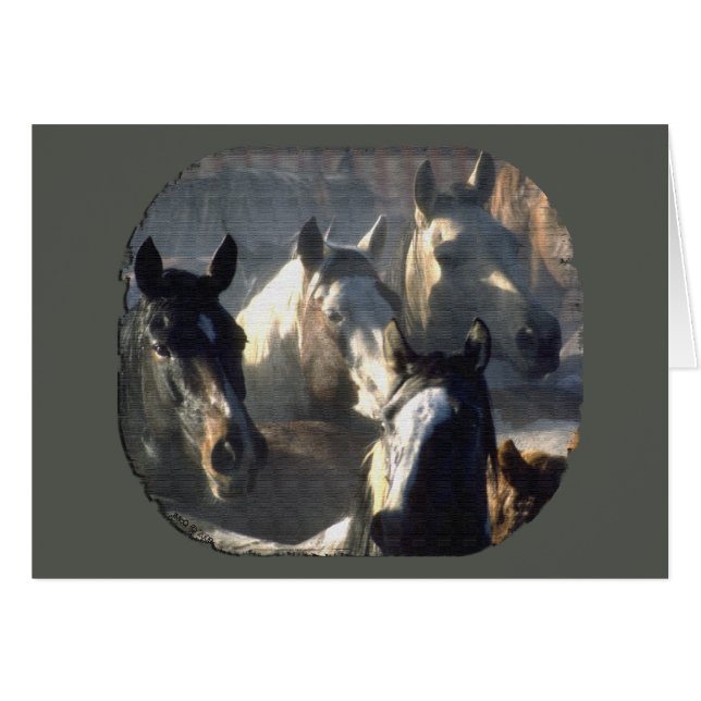 Horse Herd (Front Horizontal)