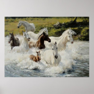 Horse herd, Poster Paper (mat)