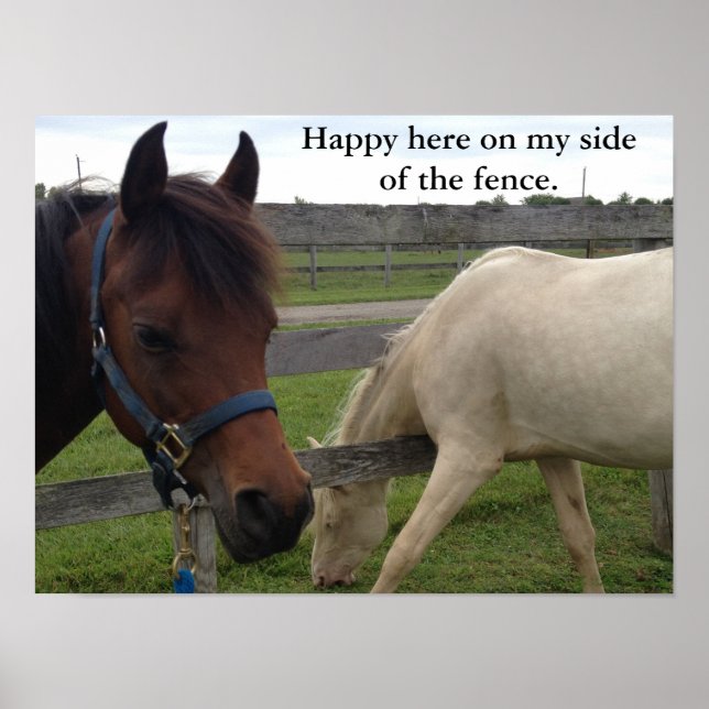 Horse Humour: Happy Here On My Side Of The Fence Poster (Front)