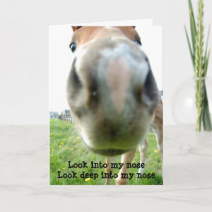 Horse hypnotist getting older birthday card
