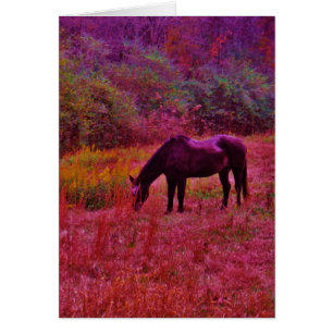 Horse in a Kaleidoscope Coloured Field