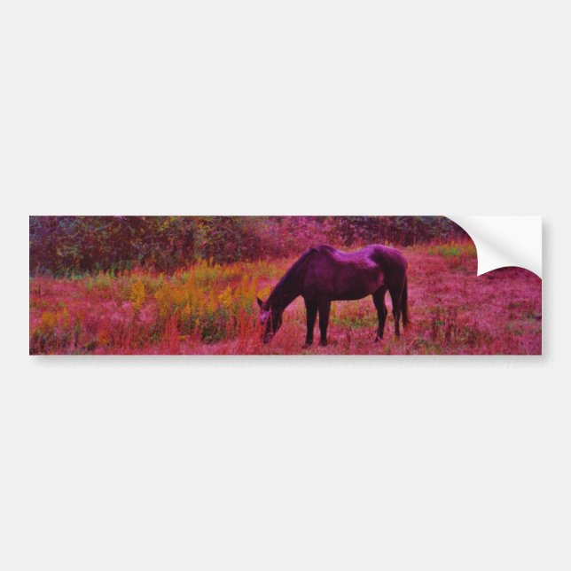 Horse in a Kaleidoscope Coloured Field Bumper Sticker (Front)