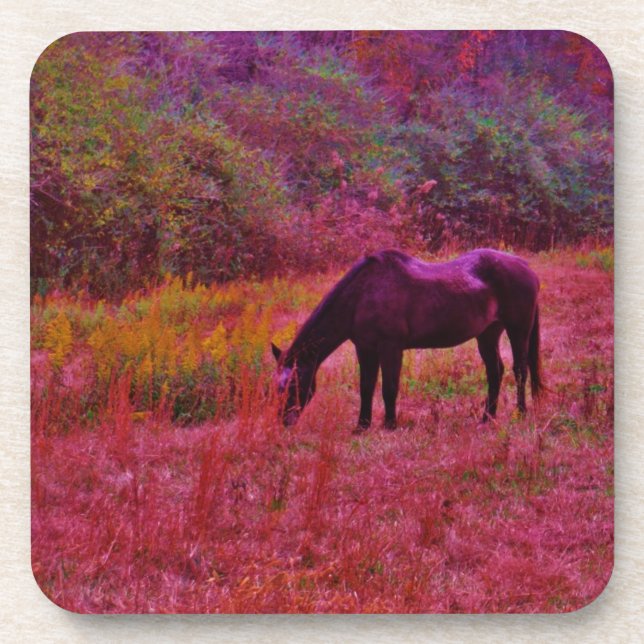 Horse in a Kaleidoscope Coloured Field Coaster (Front)