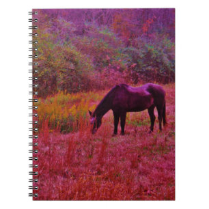 Horse in a Kaleidoscope Coloured Field Notebook