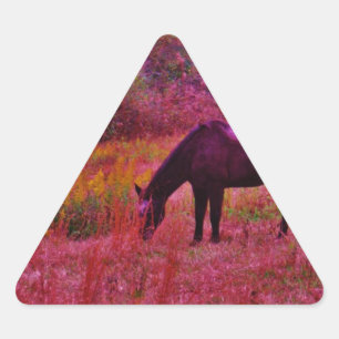Horse in a Kaleidoscope Coloured Field Triangle Sticker