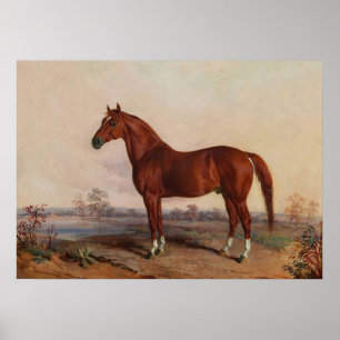 Horse in a Landscape Vintage Art Poster