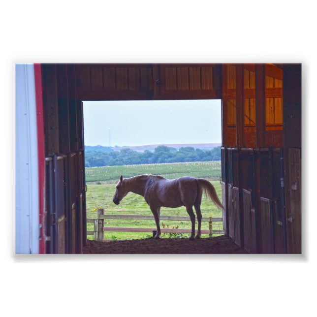 Horse in a Stable, Missouri Photo Print (Front)