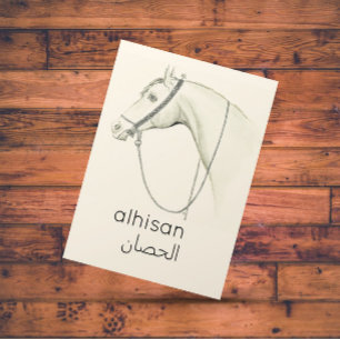 Horse in Arabic - vintage illustration Postcard