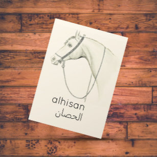 Horse  in  Arabic - vintage illustration Postcard