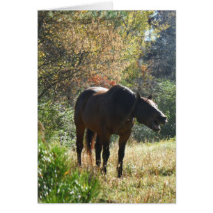 Horse in Autumn