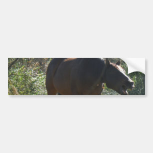 Horse in Autumn Bumper Sticker