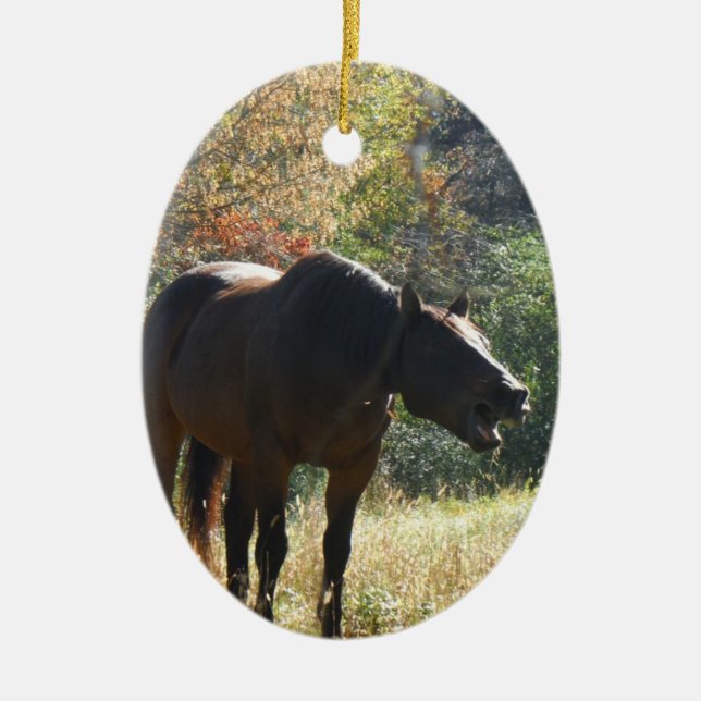 Horse in Autumn Ceramic Ornament (Front)