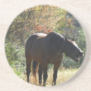 Horse in Autumn Coaster