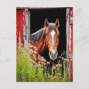 Horse In Barn Door Postcard