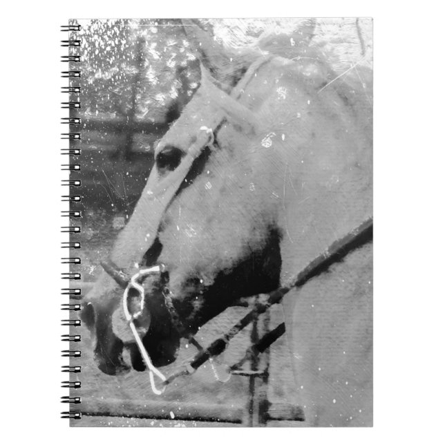 Horse in Black and White Notebook (Front)