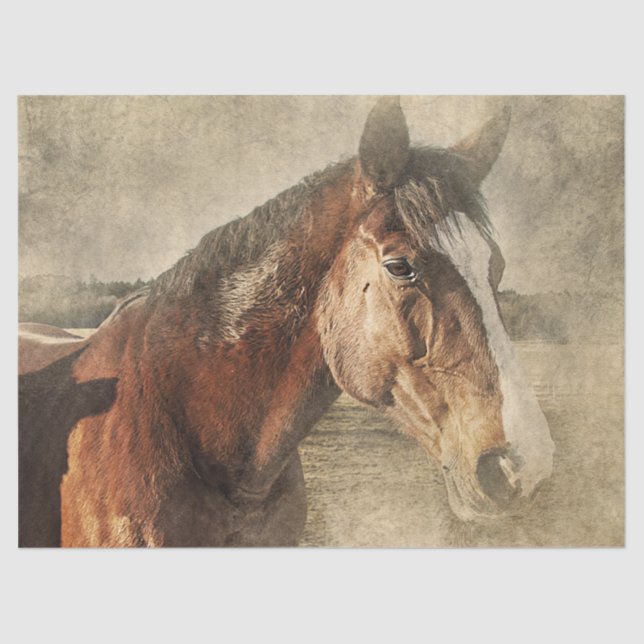 Horse in Dust Tissue Paper (Front)