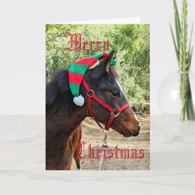 Horse in Elf Hat Folded Holiday Card (Front)