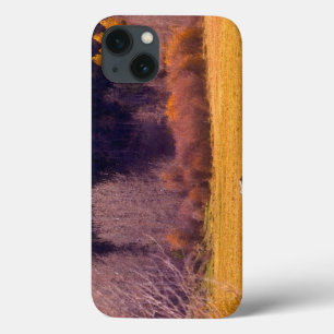Horse In Fall I iPhone 13 Case