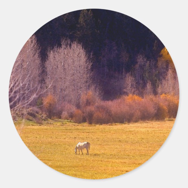Horse In Fall I Classic Round Sticker (Front)