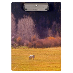 Horse In Fall I Clipboard