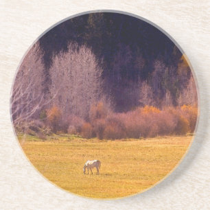 Horse In Fall I Coaster