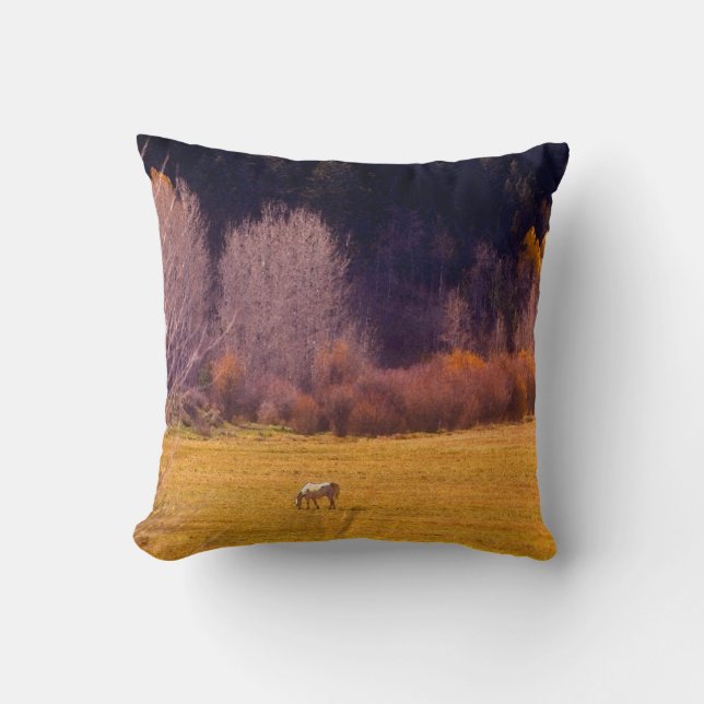Horse In Fall I Cushion (Front)