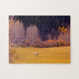 Horse In Fall I Jigsaw Puzzle