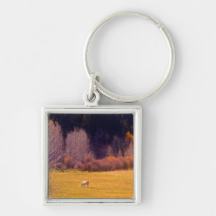 Horse In Fall I Key Ring