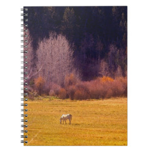 Horse In Fall I Notebook