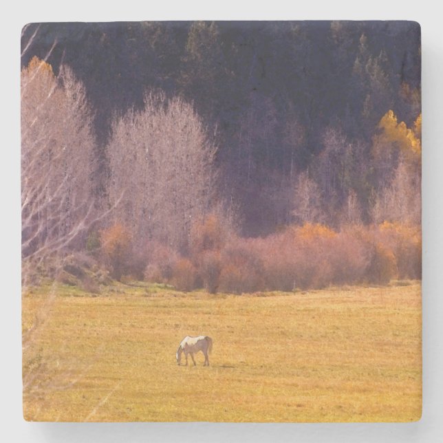 Horse In Fall I Stone Coaster (Front)