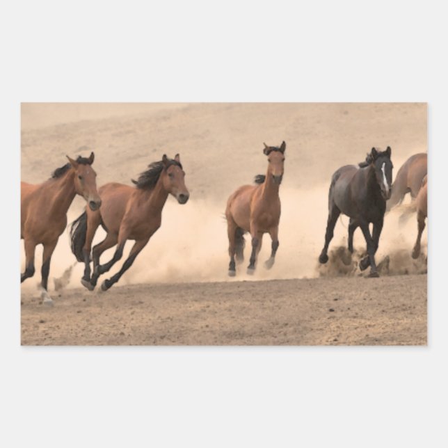 Horse In Fall II Rectangular Sticker (Front)