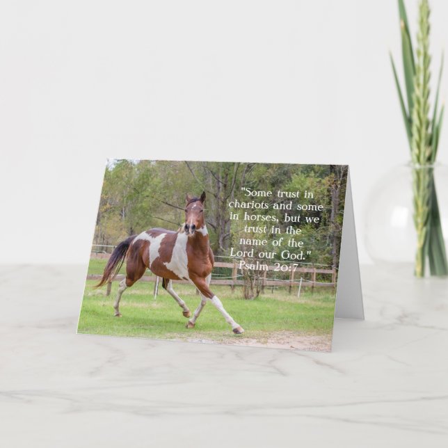 Horse in Field Greeting Card (Front)
