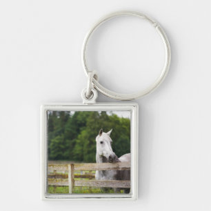 Horse in field looking over fence key ring