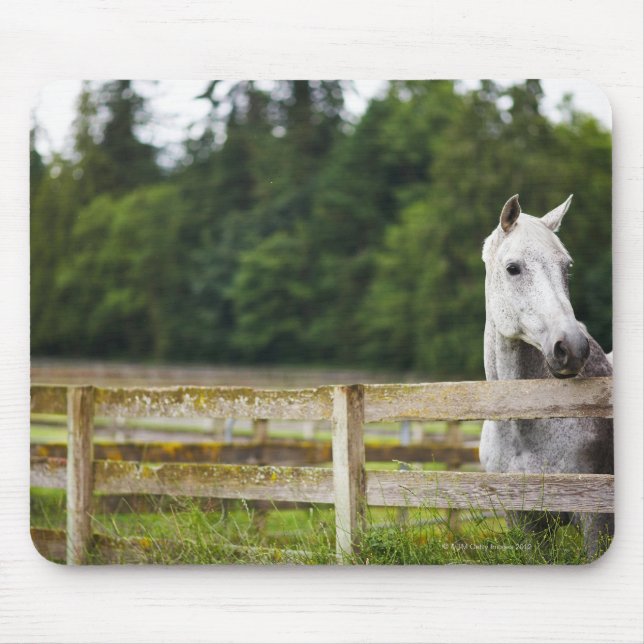 Horse in field looking over fence mouse pad (Front)
