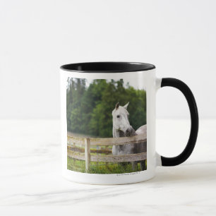 Horse in field looking over fence mug