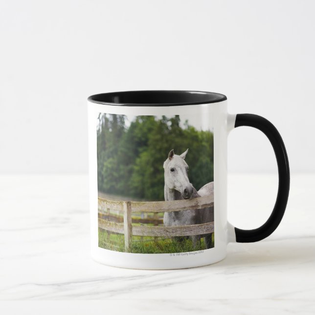 Horse in field looking over fence mug (Right)