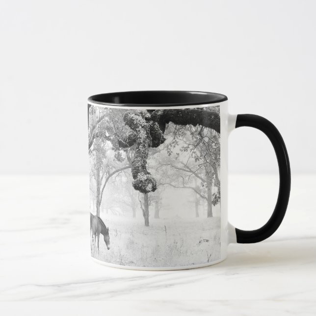 Horse In Foggy Field Of Oaks Mug (Right)