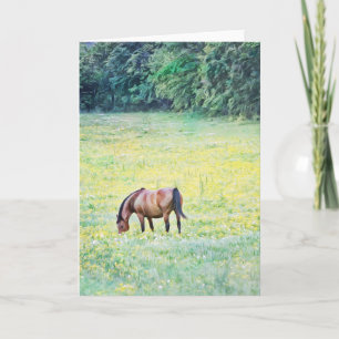 Horse in Meadow Art Note Card