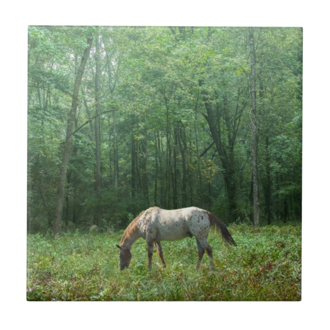 Horse in Meadow Ceramic Tile (Front)
