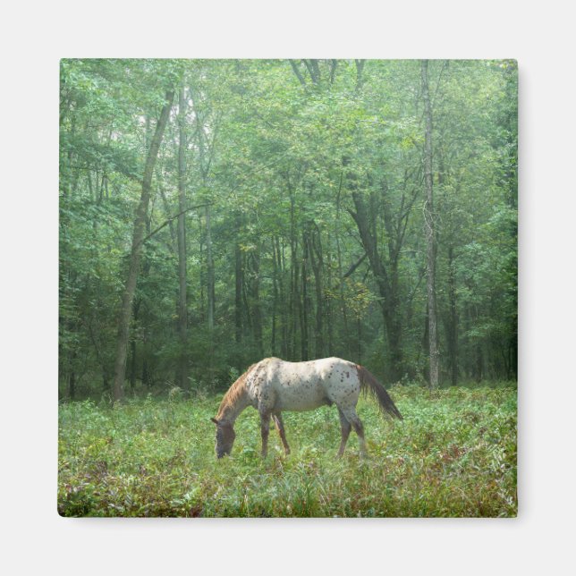 Horse in Meadow Magnet (Front)