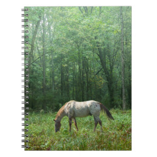 Horse in Meadow Notebook