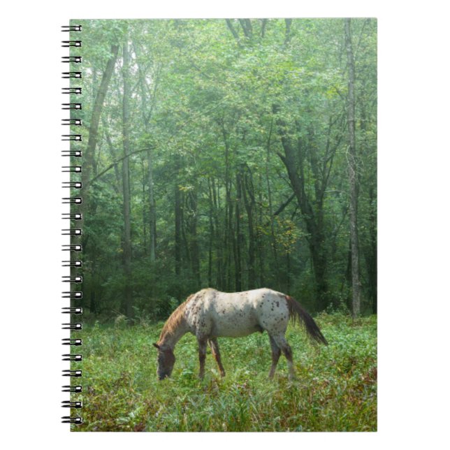 Horse in Meadow Notebook (Front)