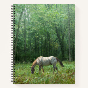 Horse in Meadow Notebook