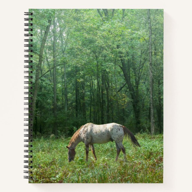 Horse in Meadow Notebook (Front)