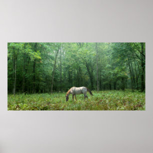 Horse in Meadow Poster