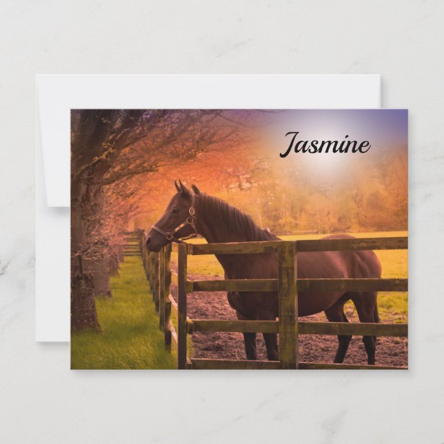 Horse in Paddock Personalised (Front)